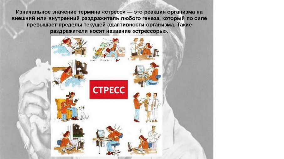 Значение термина Значение термина.